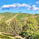 Penzion Dolni Morava Pensionat 3*