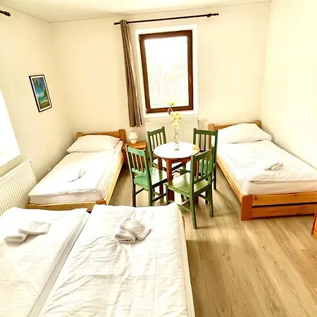 Penzion Dolni Morava 3*