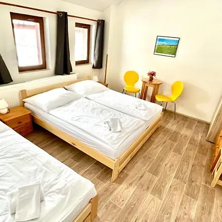 Penzion Dolni Morava Guest house *