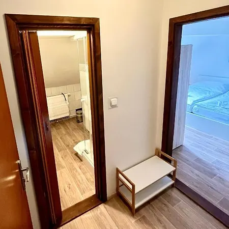 Penzion Dolni Morava Guest house