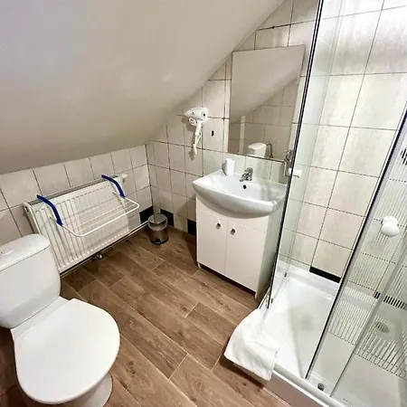 Pensjonat Penzion Dolni Morava 3*