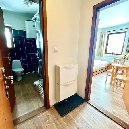 Penzion Dolni Morava Guest house Dolni Morava