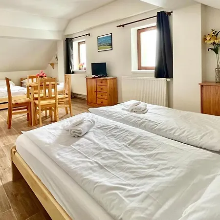 Penzion Dolni Morava Guest house *