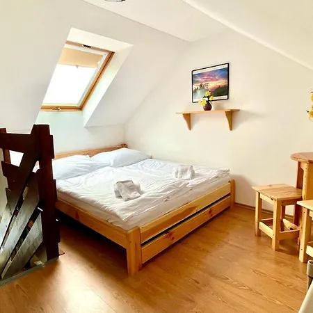 Guest house Penzion Dolni Morava