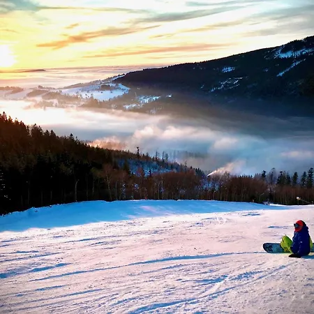 Pensionat Penzion Dolni Morava Dolní Morava