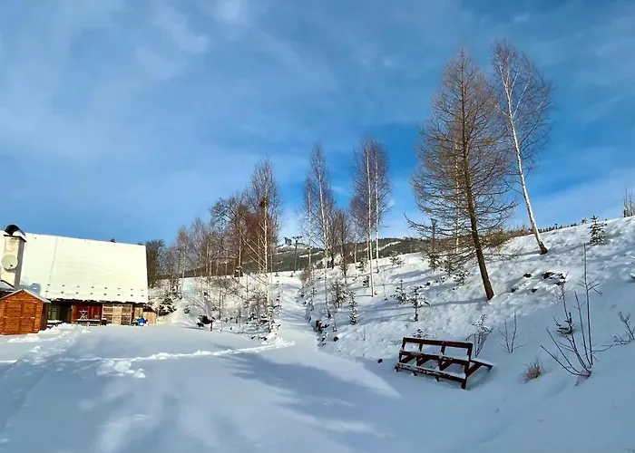 Gasthof Penzion Dolni Morava 3*