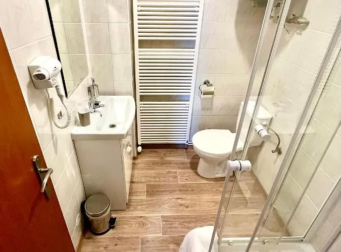 Penzion Dolni Morava Dolní Morava