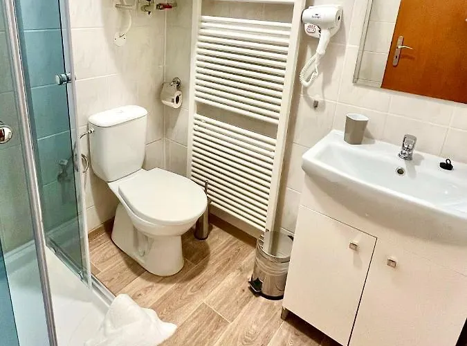 Penzion Dolni Morava Gasthof Dolní Morava