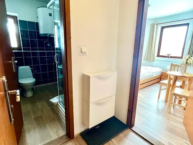Penzion Dolni Morava Gasthof Dolní Morava