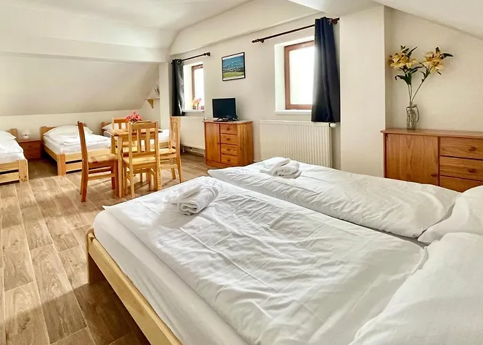 Penzion Dolni Morava Gasthof 3*