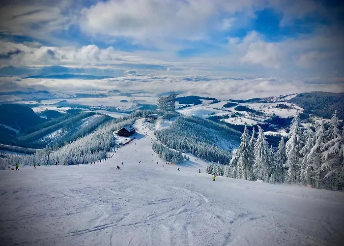 Penzion Dolni Morava Gasthof